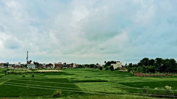 Gopalganj News : सुबह से सुहाना रहा मौसम, तो दोपहर से पड़ीं बौछारें, किसानों के चेहरे खिले