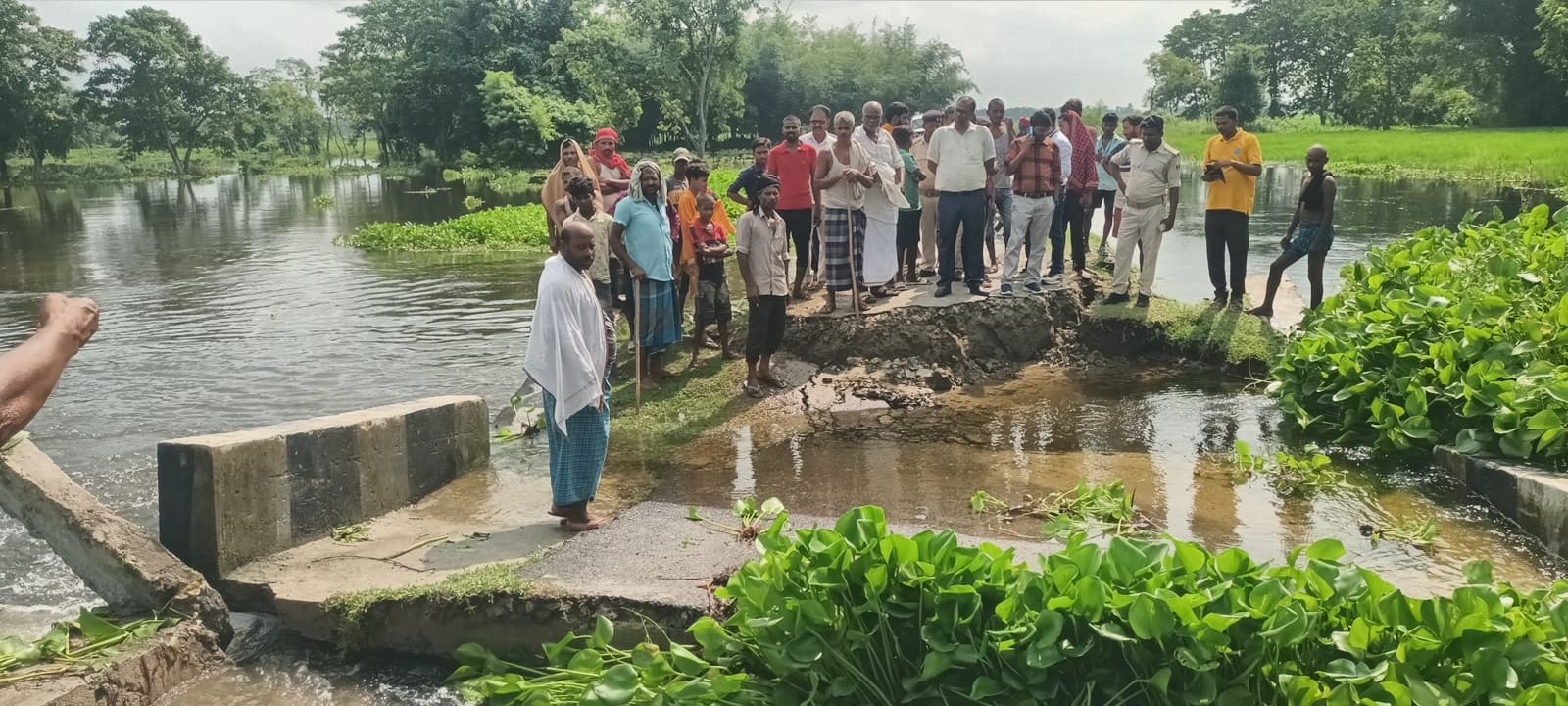 बोहरा पंचायत में बाढ़ के दबाव में चार वार्डों को जोड़नेवाला सड़क पुल ध्वस्त