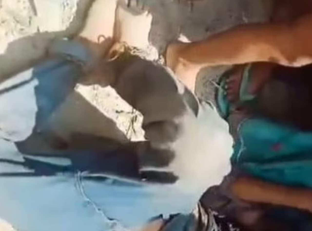 Crime News: बेगूसराय में छोटी सी बात 12 साल के बच्चे से दरिदंगी, जंजीर से बांध कर बेरहमी से पीटा