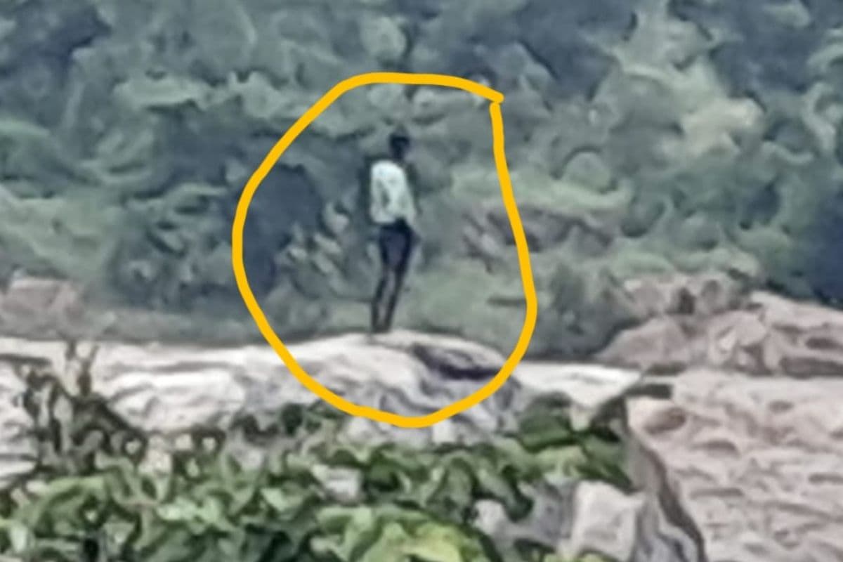 Jharkhand Flash Flood: शौच करने गया किशोर नदी में फंसा, रेस्क्यू ऑपरेशन शुरू, देखें Video