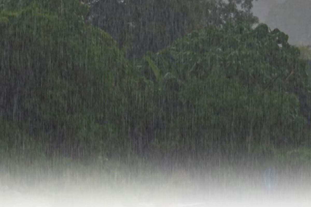 Jharkhand Weather : झारखंड के कई जिलों में बारिश की संभावना
