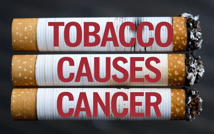 Tobacco : गुटखा खाने से बढ़ता है किन बीमारियों का खतरा ?