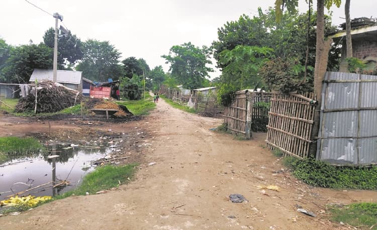 Madhepura News : रौद्र रूप धारण कर सताती है, तो खेतों में उपजाऊ मिट्टी भी पहुंचाती है कोसी