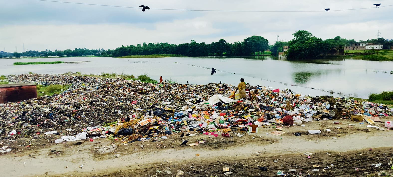 Madhepura News : नदी किनारे फेंका जा रहा नगर परिषद का कचरा