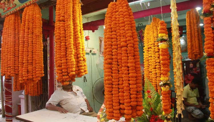 Navratri 2024: भागलपुर में फूल हुए महंगे, फलों के दाम में भी भारी इजाफा, जानें ताजा भाव