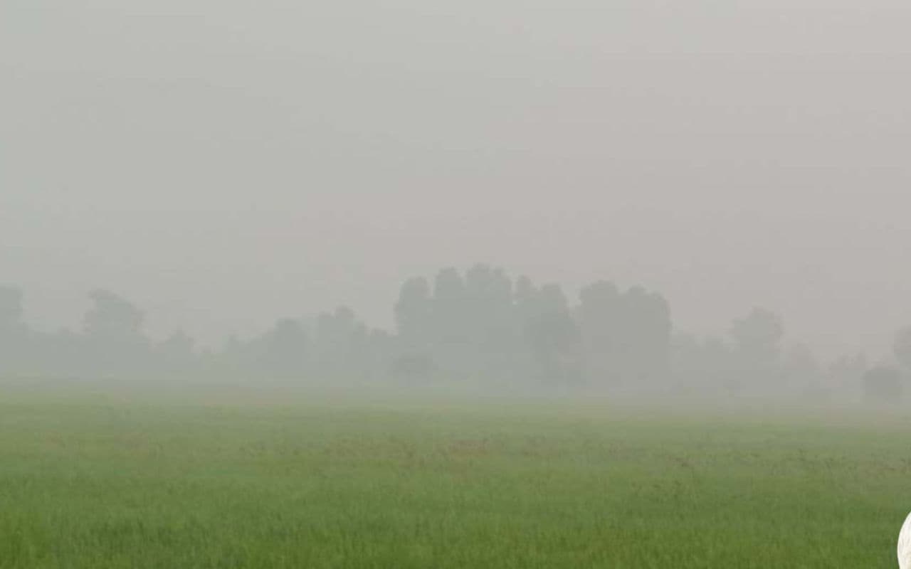 Bihar Weather : मौसम ने बदली करवट, सुबह-सुबह ही दिखने लगा घना कोहरा Bihar Weather : मौसम ने बदली करवट, सुबह-सुबह ही दिखने लगा घना कोहरा