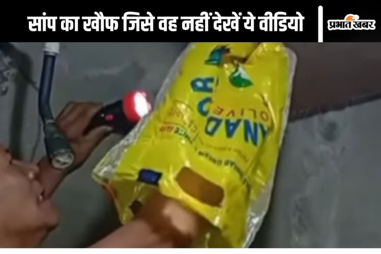 Snake Viral Video: कमजोर दिल वाले नहीं देखें ये वीडियो, सांप का डर मन में बैठ जाएगा