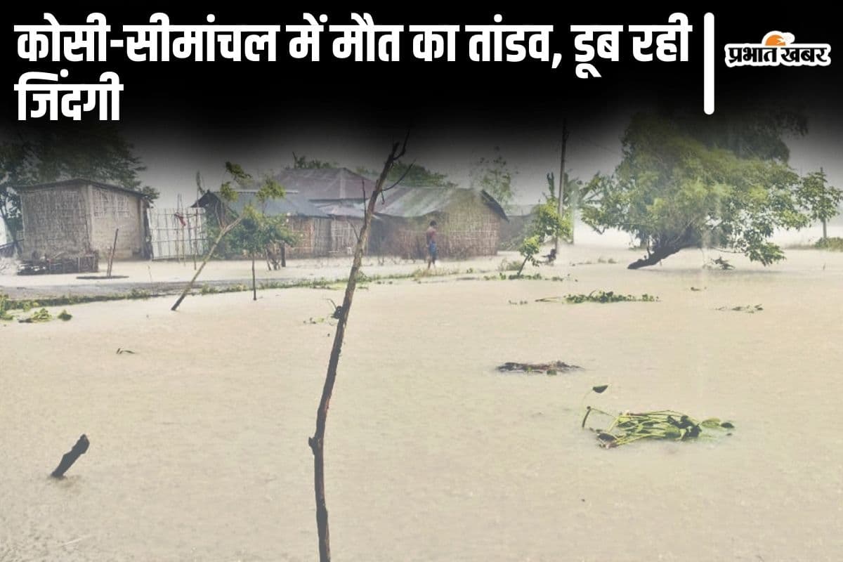 Bihar Flood: रास्ता पार कर रही बच्ची पानी की तेज धार में बही, कोसी-सीमांचल में डूबने से कई लोगों की मौत