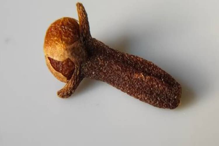 Shardiya Navratri 2024 Upay: लौंग से करें उपाय, किस्मत चमकाने के लिए नहीं मिलेगा इससे अच्छा मौका