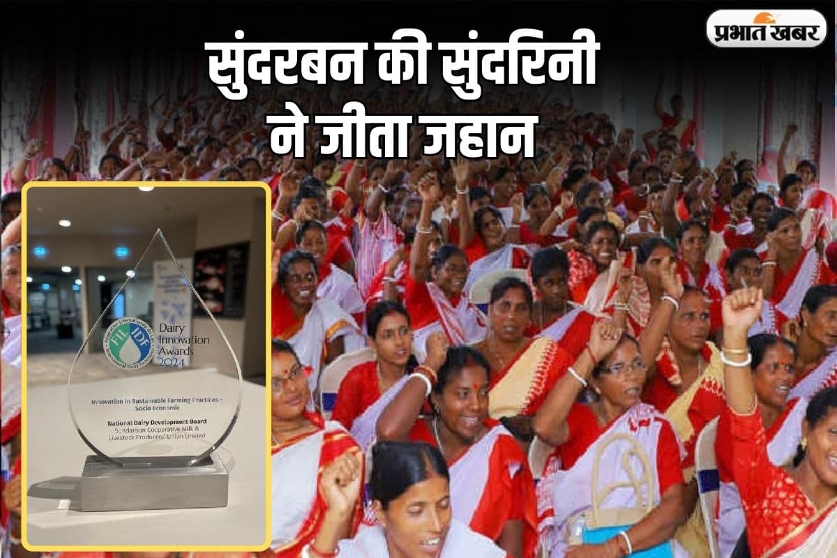 गंगा के डेल्टा से उठा तूफान, सुंदरबन की सुंदरिनी को मिला इंटरनेशनल अवॉर्ड
