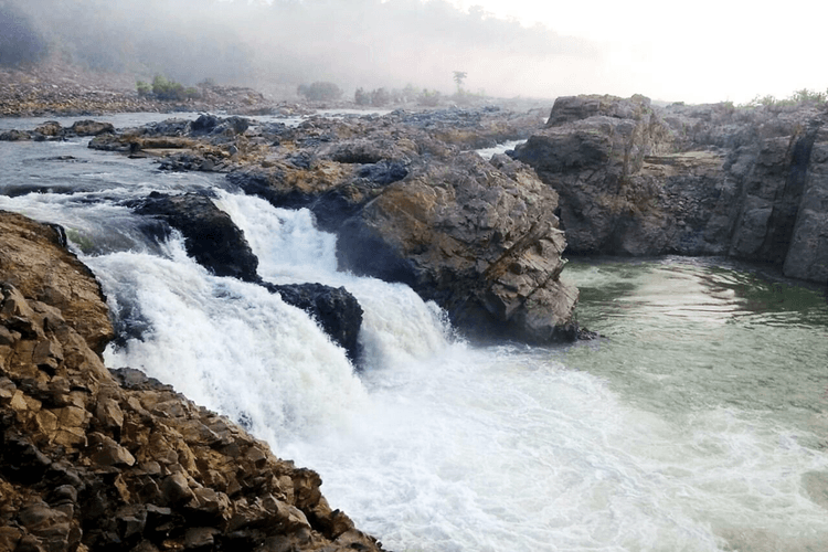 सरकारी फाइलों ही नहीं, चुनावी घोषणा पत्र से भी गायब होती जा रही है कनहर सिंचाई परियोजना, जानिए क्या है यह परियोजना