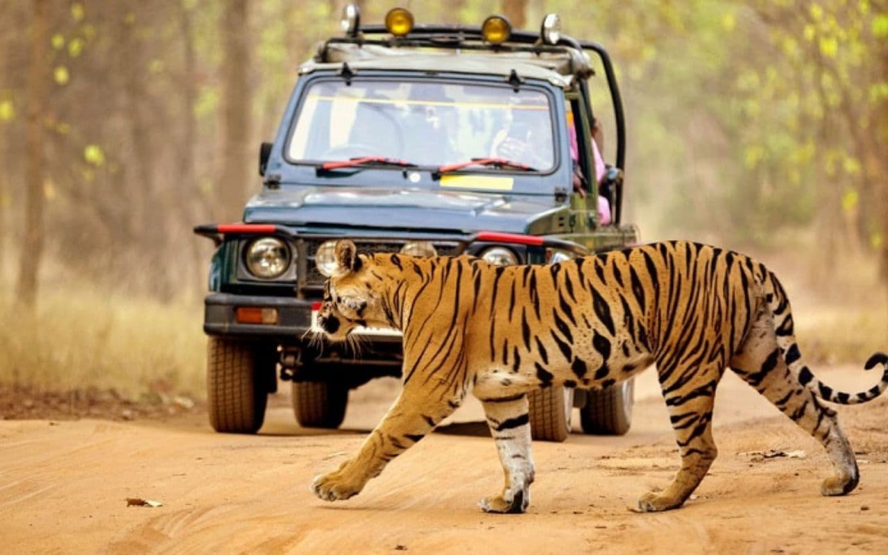 नए साल पर VTR में पहुंच रहे एक लाख पर्यटक, होटल, रेस्टोरेंट सब फुल, टूटेगा पिछला रिकॉर