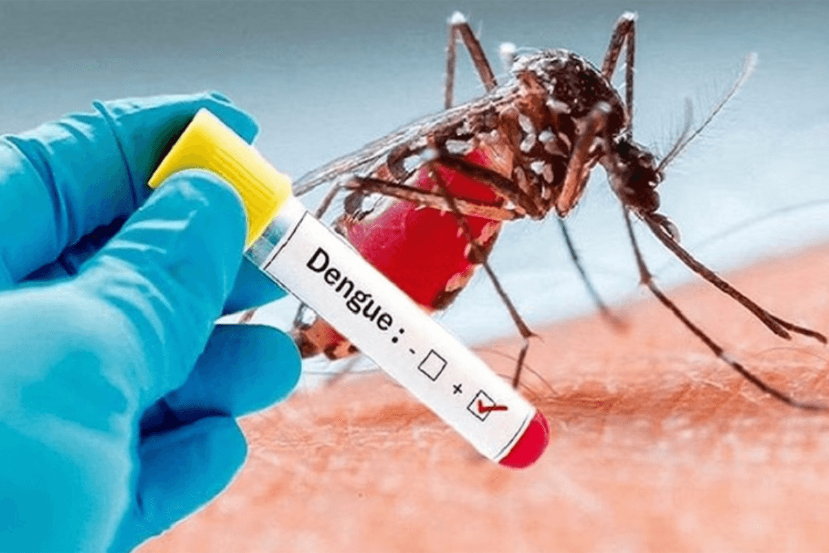 Bihar Dengue News: बिहार में डेंगू का कहर जारी, 24 घंटे में मिले 146 नए मामले, 12 की मौत
