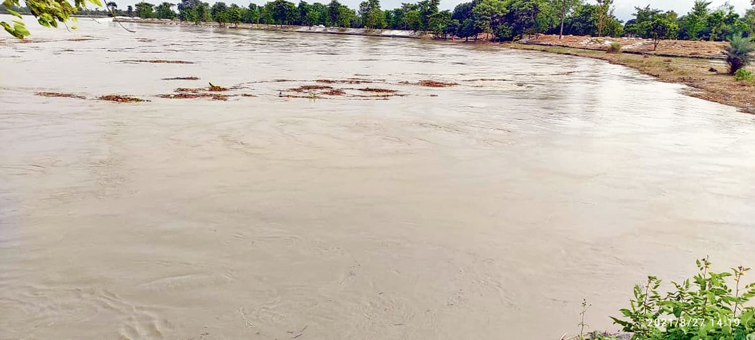 Gopalganj News : निचले इलाके से उतरने लगा गंडक नदी का पानी, गांवाें में तबाही अब भी बरकरार