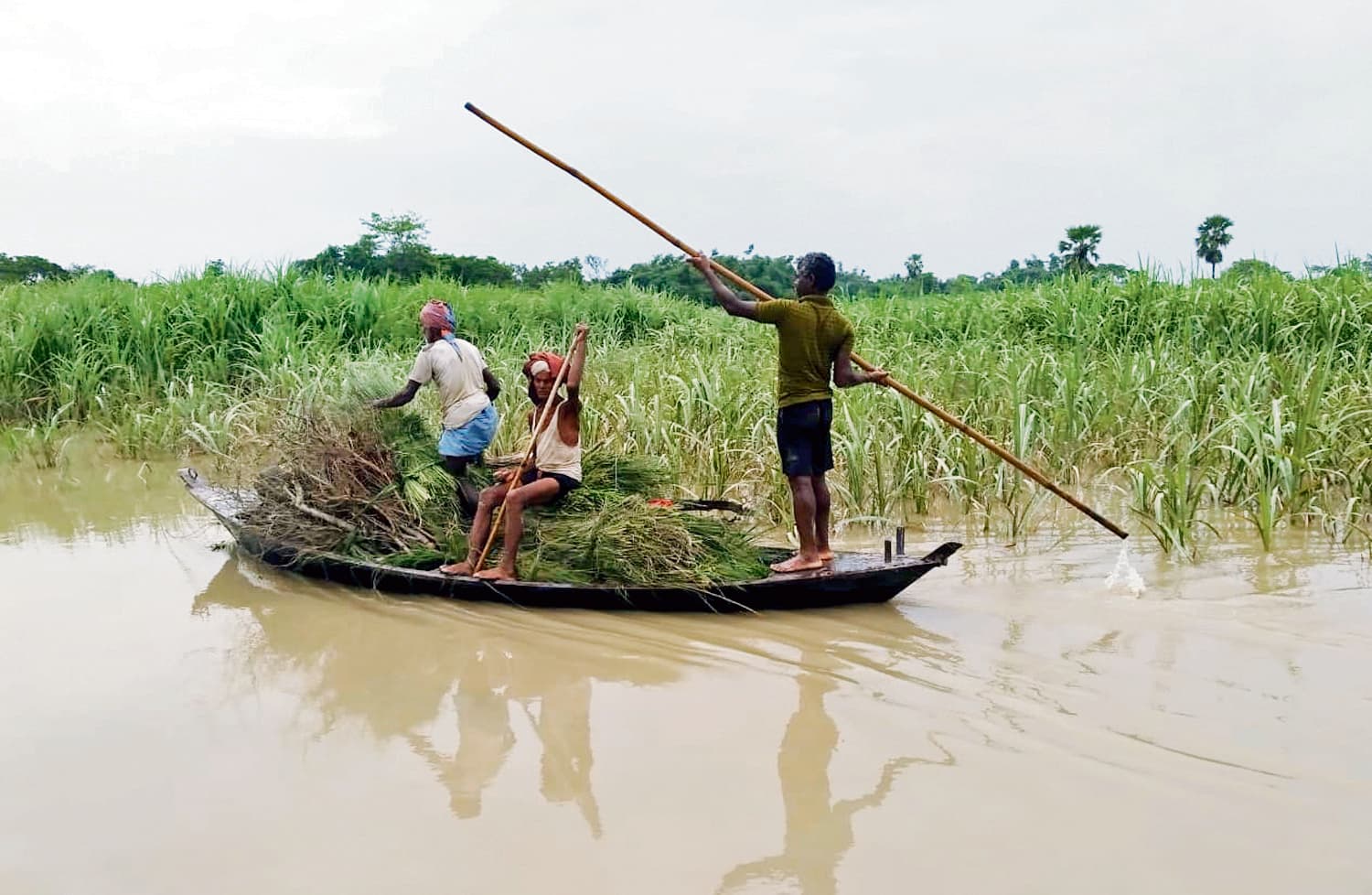Gopalganj News : गंडक नदी का पानी घटने के बाद भी पटरी पर नहीं लौट पा रही जिंदगी, हर घंटे घट-बढ़ रहा जल स्तर