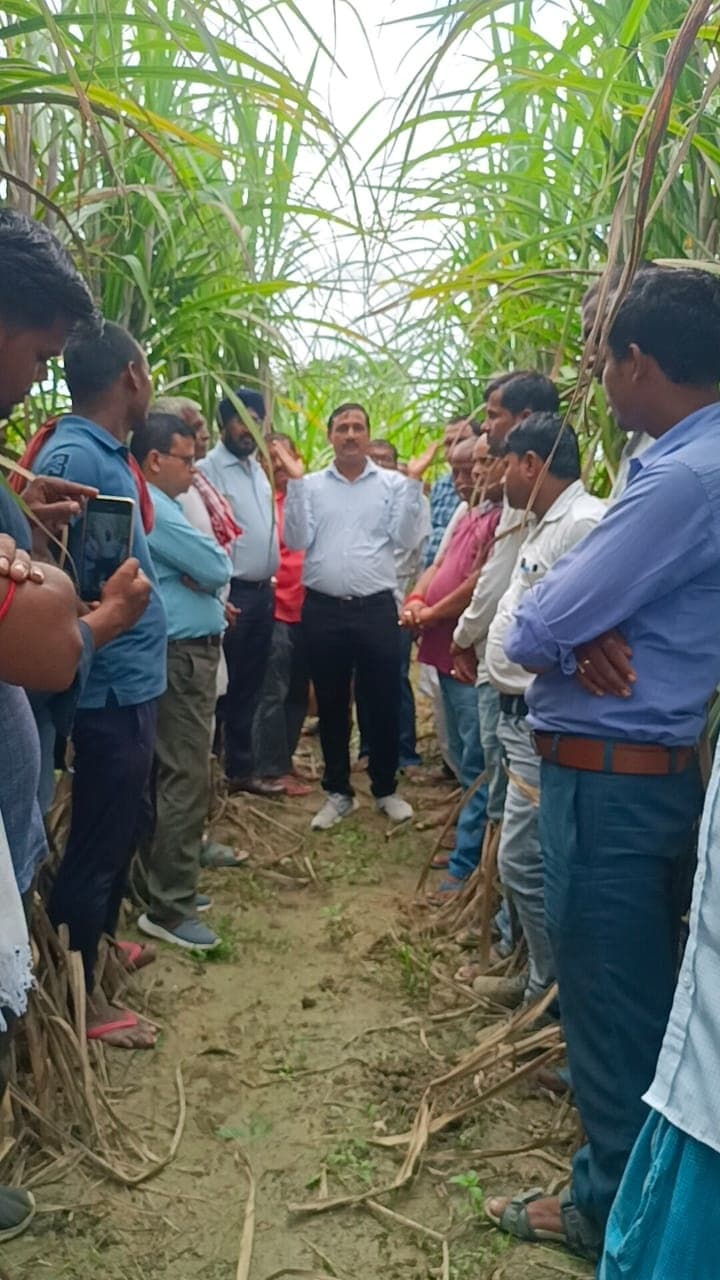 Sugarcane cultivation: नयी तकनीक से हो रहे गन्ना खेती का किसानों ने किया अवलोकन