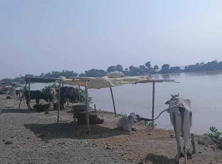 आलमनगर में तीन व चौसा की चार पंचायतें बाढ़ प्रभावित क्षेत्र घोषित, लोगों में आक्रोश