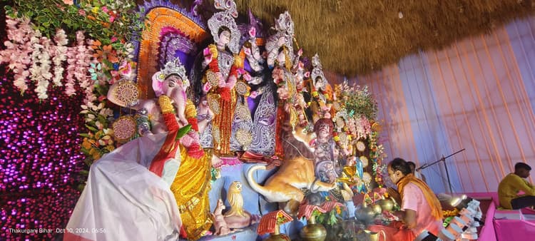 सप्तमी पर नवपत्रिका की पूजा कर मां दुर्गा की कर रहे उपासना