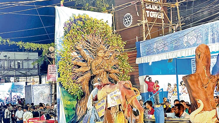 पूजा कार्निवाल में उमड़ी भीड़