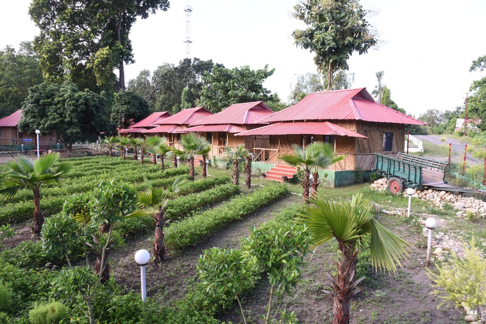 इंतजार की घड़ियां खत्म, 21 को सैलानियों के लिए खुल जाएंगे वीटीआर के पर्यटन स्थल