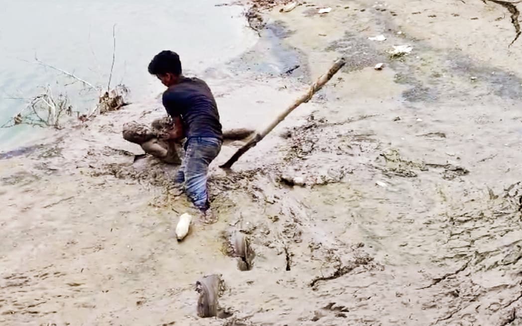 दलदल में समा गये वृद्ध को युवक ने बचाया