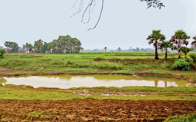 Gaya News : चुनाव खत्म होने के बाद नगर प्रखंड के गांवों में नाली-गली का काम होगा शुरू