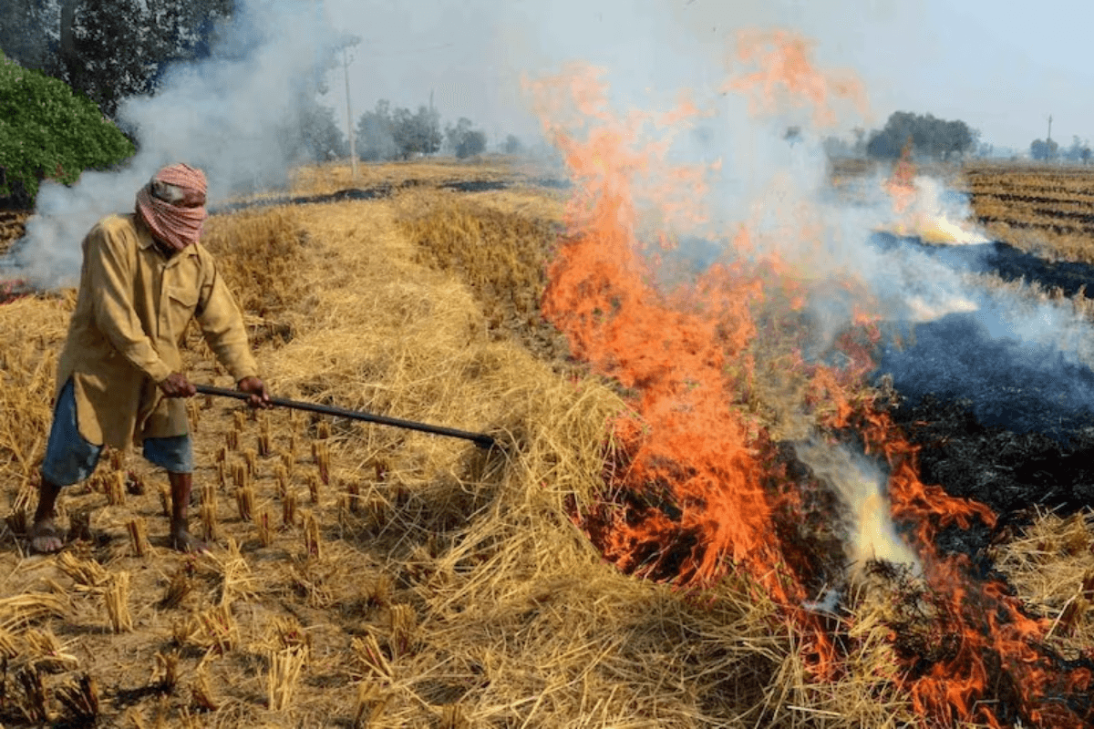 Bihar News: किसान को पराली जलाना पड़ा महंगा, सैटेलाइट से ली गई फोटो, FIR दर्ज