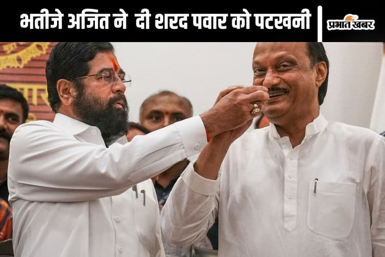 Maharashtra Election Result : चाचा शरद को अजित पवार ने धोया! जानें किसे मिली कितनी सीट