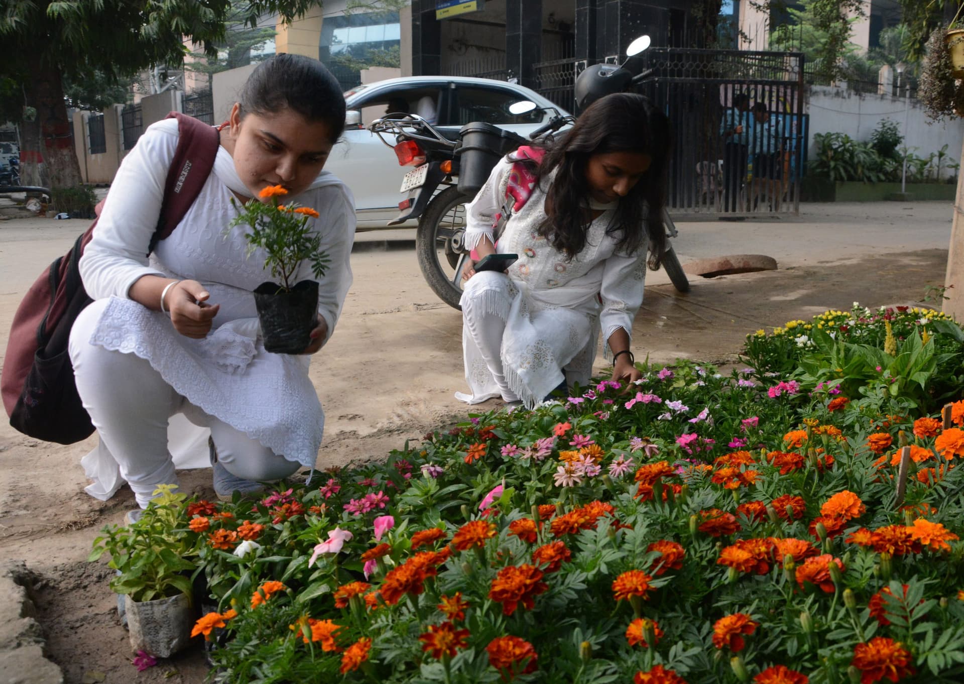 Flower Market : 35 रुपए में गेंदा और 1000 रुपए तक में आर्किड, सर्दी आते ही पटना के बाजारों में फूलों की भरमार