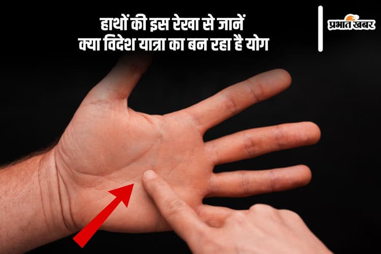 Hast Rekha Palm Reading: हाथों की रेखा से जानें विदेश यात्रा का बन रहा है योग