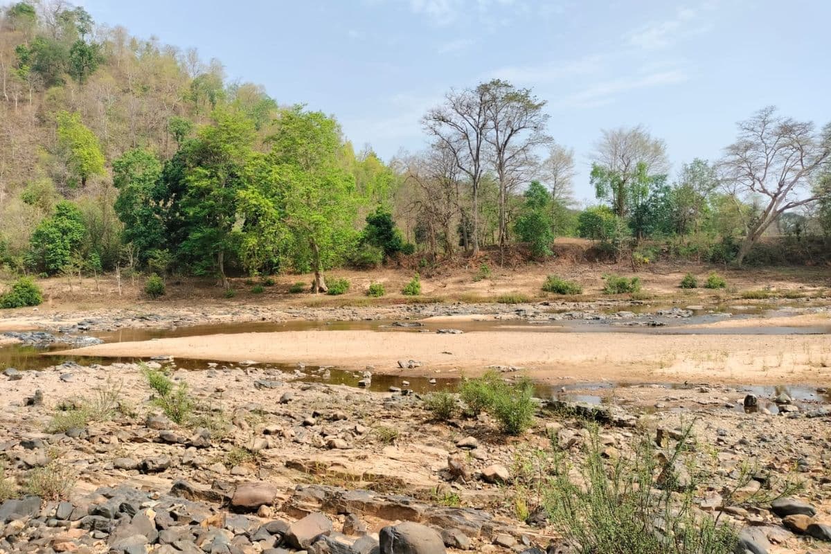 पश्चिम सिंहभूम में पीएलएफआई ने 2 लोगों को धारदार हथियार से मौत के घाट उतारा