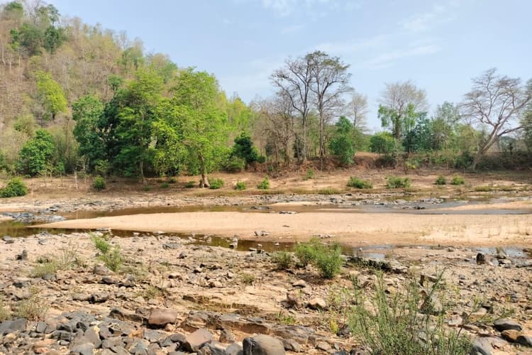 पश्चिम सिंहभूम में पीएलएफआई ने 2 लोगों को धारदार हथियार से मौत के घाट उतारा