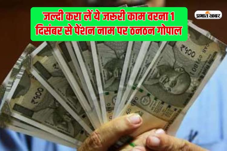 30 नवंबर तक निपटा लें जरूरी काम, वरना 1 दिसंबर से रुक जाएगी पेंशन