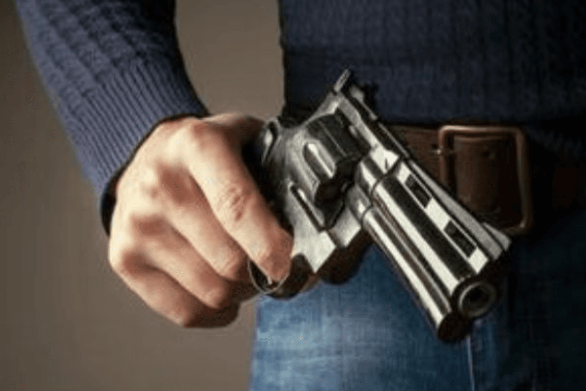 Muzaffarpur News: बारात में डीजे पर दो युवकों ने लहराया हथियार, कार्रवाई के निर्देश