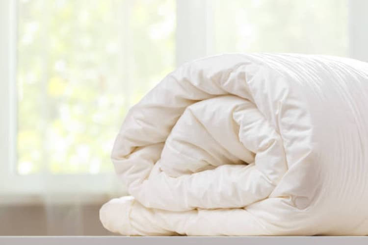 Winter Tips: गर्म कपड़े और कंबल से आ रही है सीलन की बदबू, तो ऐसे करें दूर