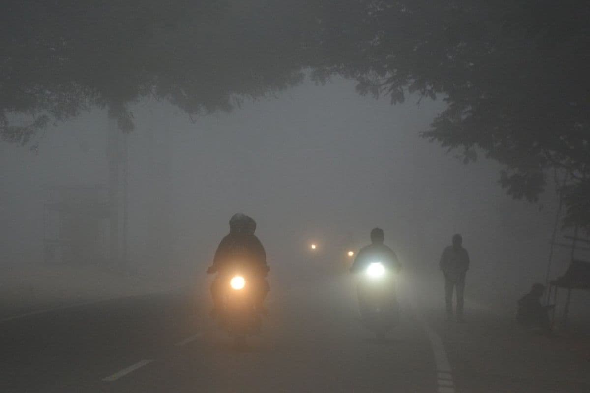 Weather Update: कोहरे की शुरुआत के साथ ही गुलाबी ठंड का आगाज, IMD ने जारी किया येलो अलर्ट