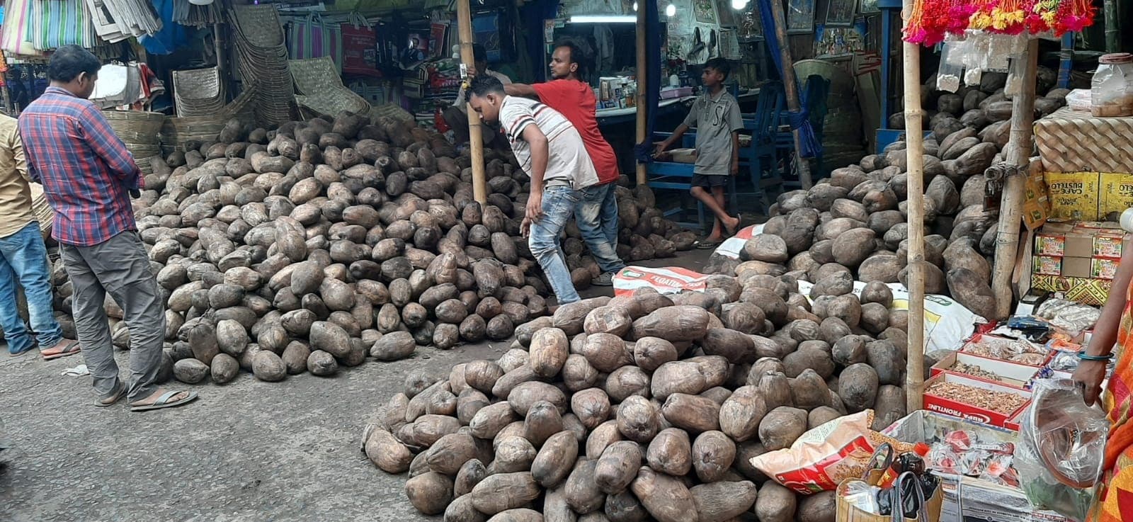 खुश्कीबाग से नेपाल समेत सीमांचल के बाजारों में भेजा जा रहा छठ का नारियल