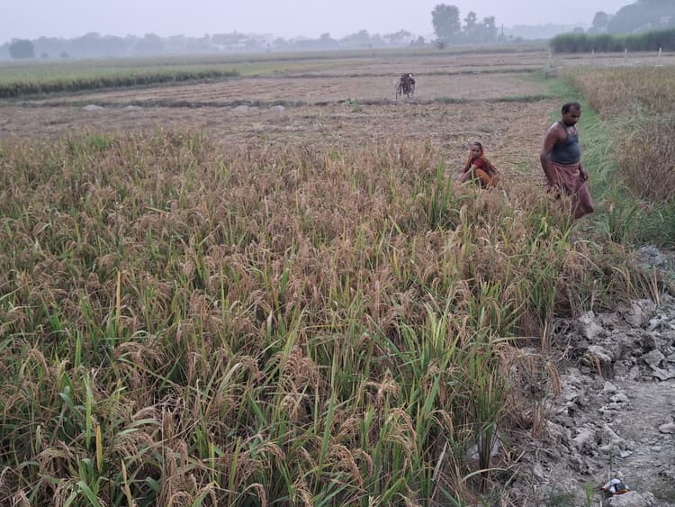 पैक्सों में धान खरीदारी शुरू होते ही होने लगा खेल