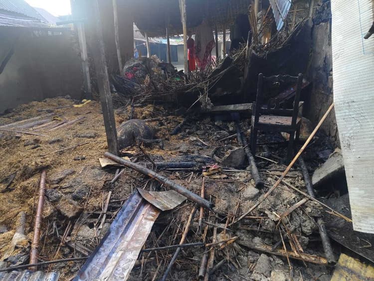 आग से दो घर जले, दो मवेशियों की झुलसने से मौत