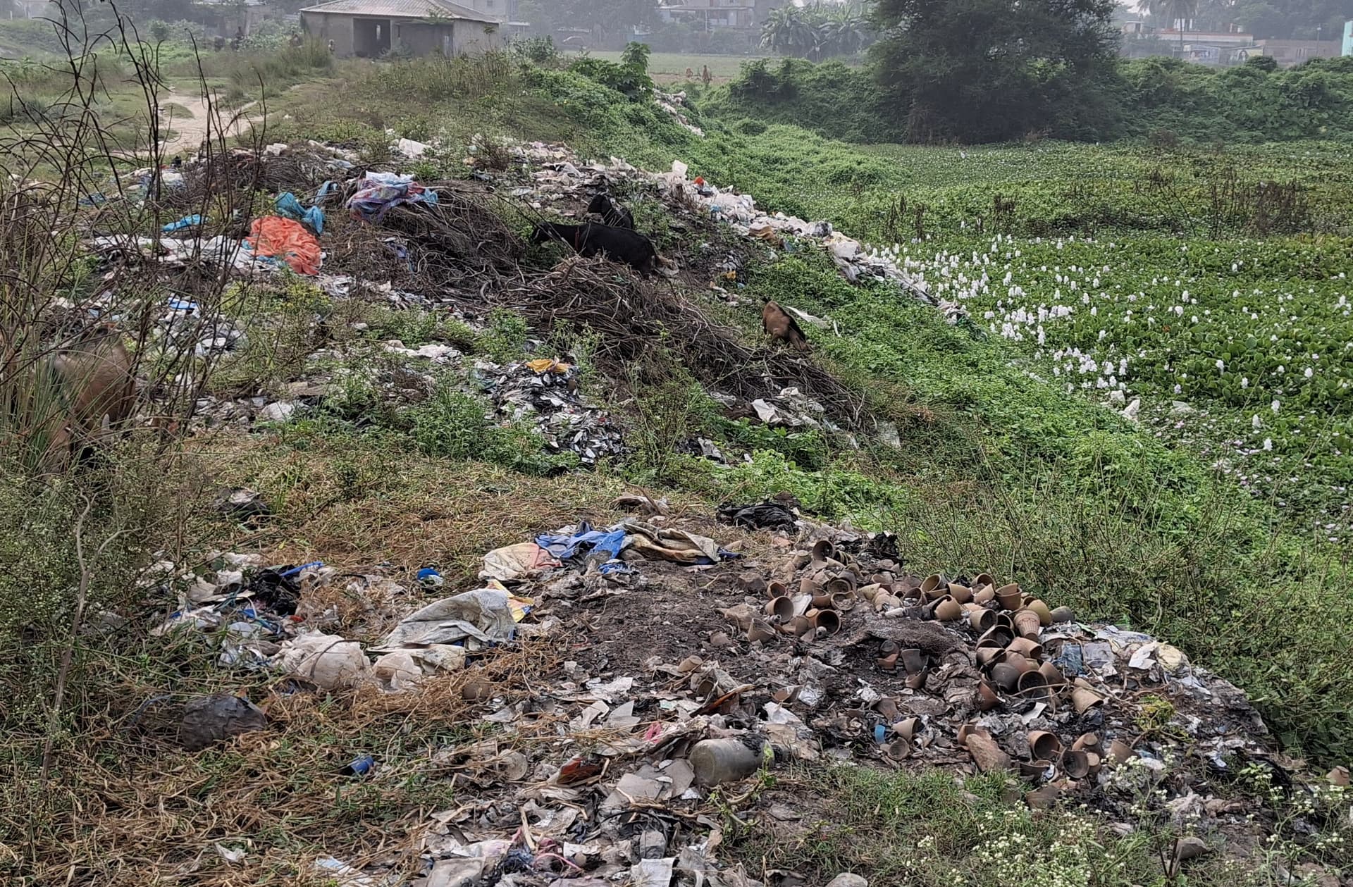 खुले में कचरा जलाने का सिलसिला बदस्तूर जारी
