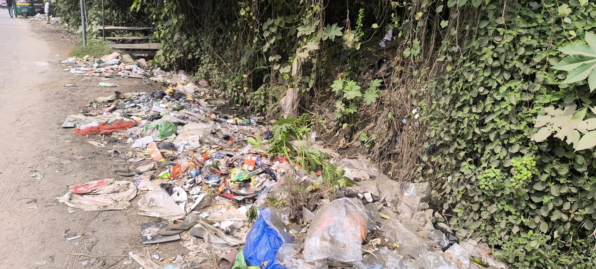 Giridih News: गंदगी से बजबजा रही है नालियां, दुर्गंध से लोग परेशान