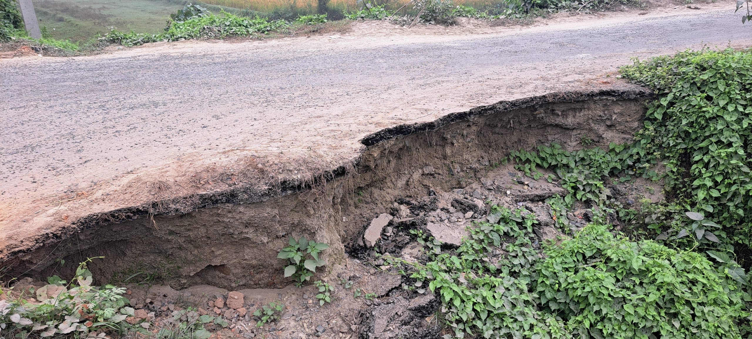 रानीपट्टी वितरणी नहर पर बनी पक्की सड़क क्षतिग्रस्त