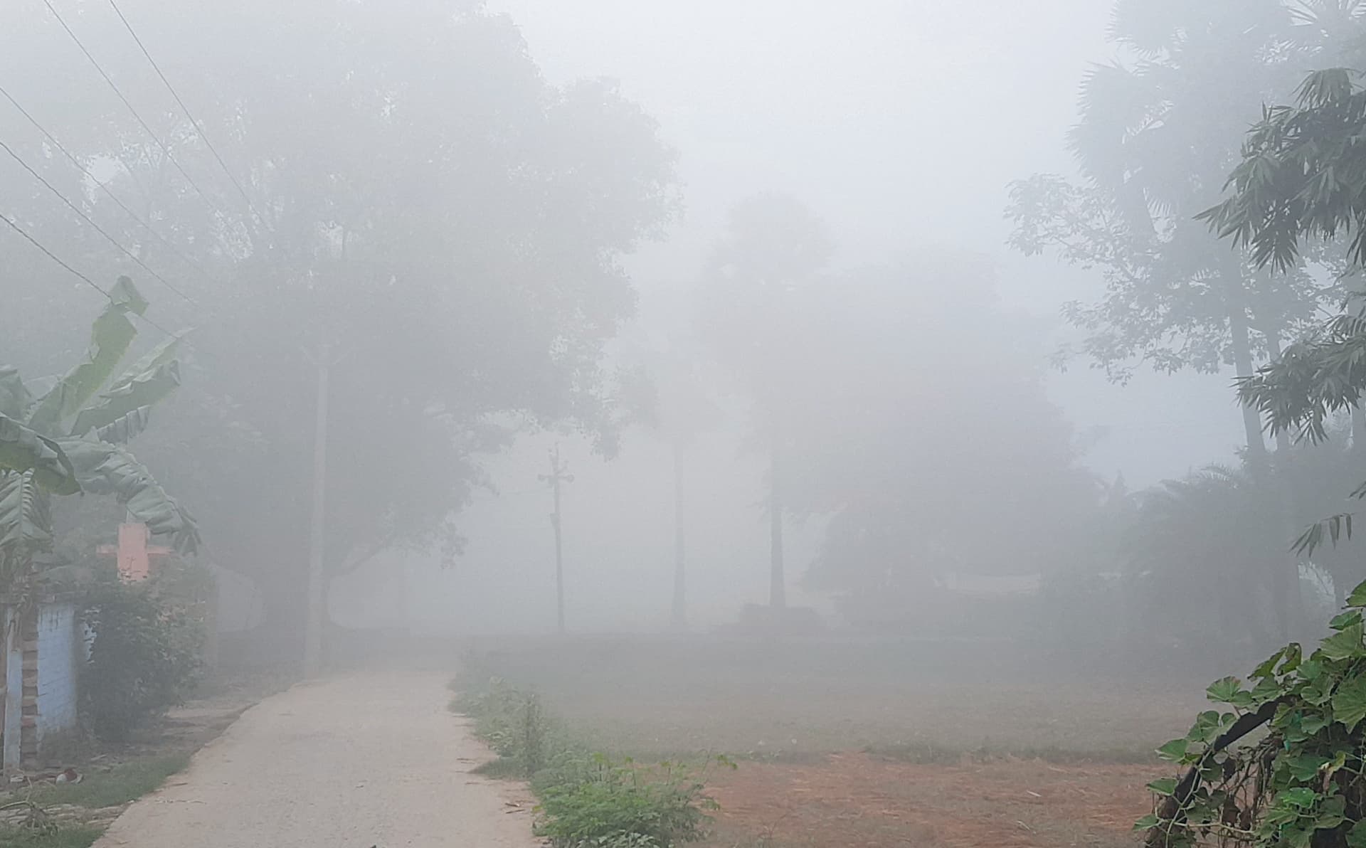 hajipur news. पछुआ हवा से बढ़ी ठंड, घने कोहरे से वाहनों की रफ्तार में आयी कमी