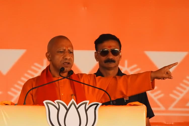 भाजपा की सरकार में गो हत्या व लव जिहाद करने वालों को भुगतना होगा खामियाजा: योगी