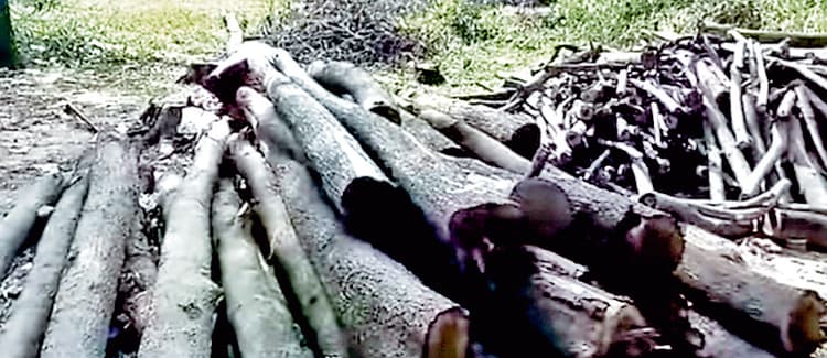 कांकसा : रघुनाथपुर में आदिवासी भूमि को बेचने का आरोप, जोर पकड़ता आदिवासी आंदोलन