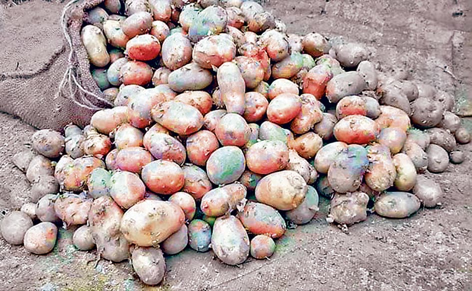 दूसरे राज्यों को आलू भेजने पर फिर लगी रोक