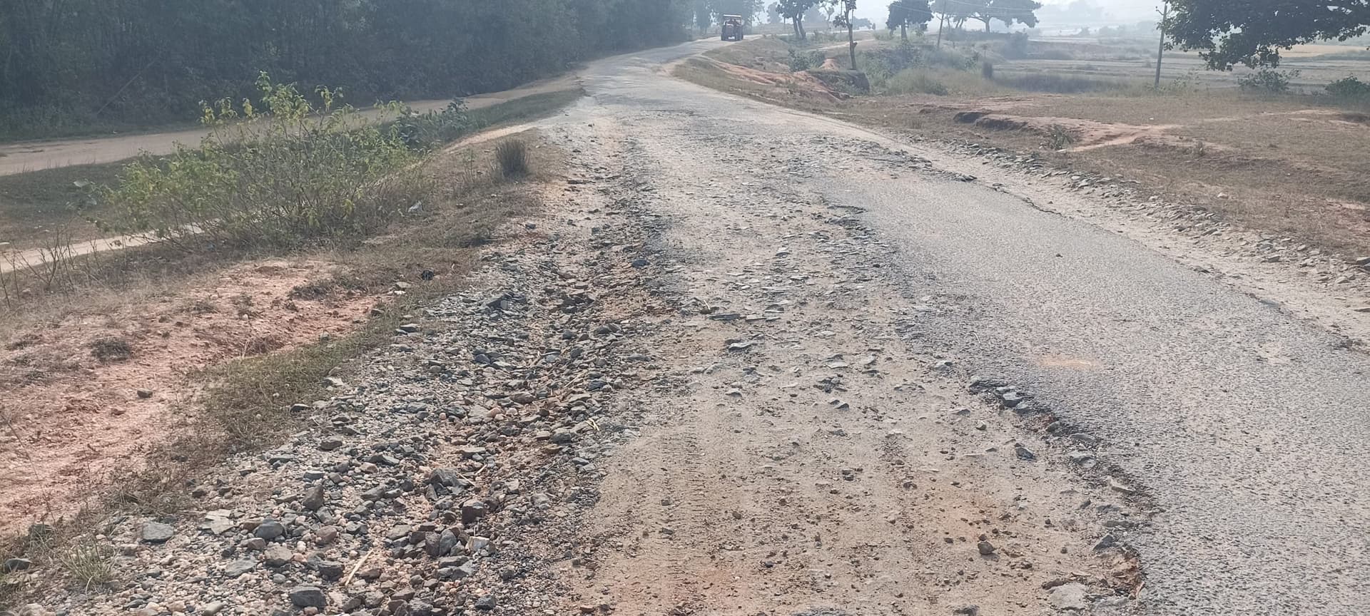 Giridih News :वर्षों से जर्जर है धनवार-घोड़थंबा सड़क, आवागमन में परेशानी