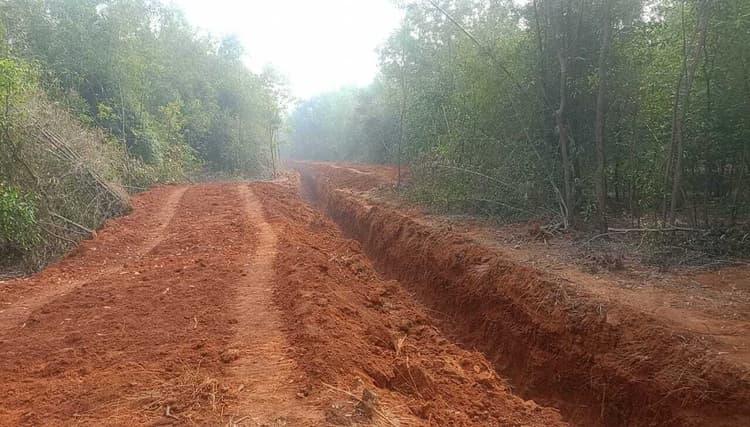 East Singhbhum : चाकुलिया में नहर निर्माण के लिए साल व बांस के सैकड़ों पेड़ काट दिये, ग्रामीणों ने काम रोकवाया