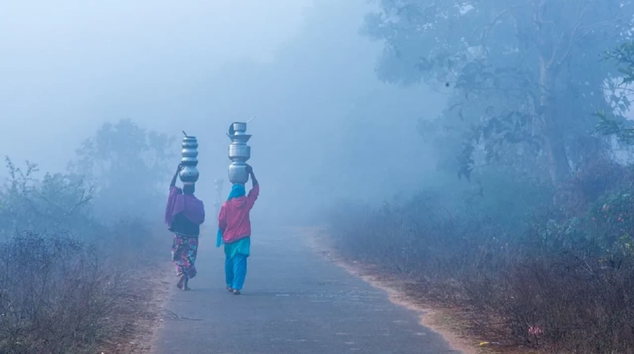 Bihar Weather : सुबह में कुहासा, दिन में बादल और शाम में हल्की ठंड, बिहार के मौसम का ताजा अपडेट