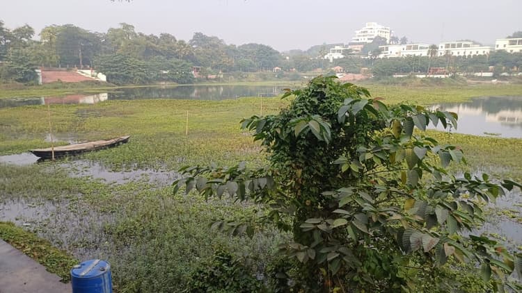 Munger news : सात वर्ष में सात करोड़ खर्च, फिर भी नहीं बदला रानी तालाब का स्वरूप